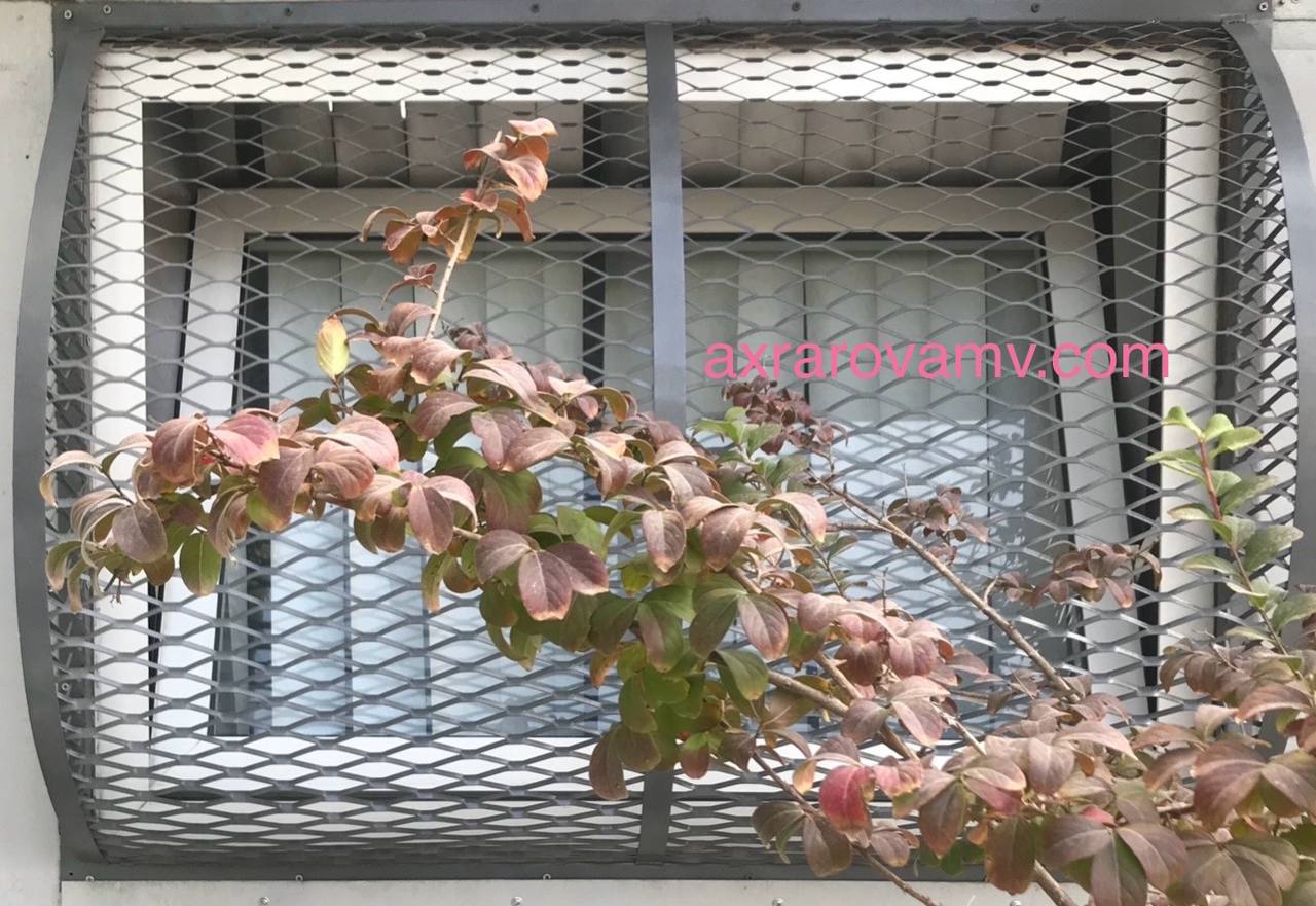 Решетки из сетки купить в Ташкенте